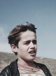 دانلود فیلم بید و باد