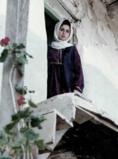 دانلود فیلم زیر درختان زیتون