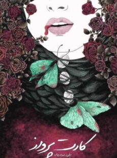 دانلود فیلم کارت پرواز