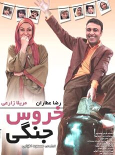 دانلود فیلم خروس جنگی