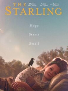 دانلود فیلم The Starling 2021 سار دانلود فیلم The Starling 2021 سار