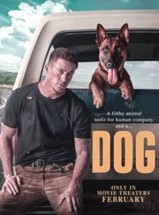 دانلود فیلم Dog 2022 سگ