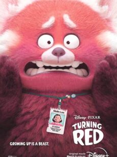 دانلود انیمیشن Turning Red 2022 قرمز شدن